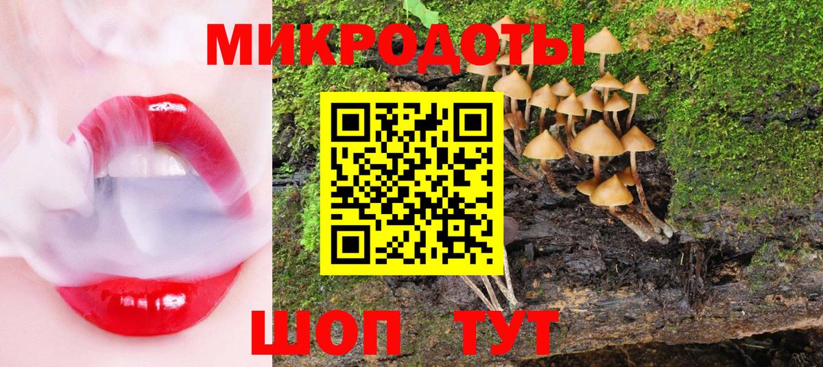 Псилоцибиновые грибы Cubensis Свободный